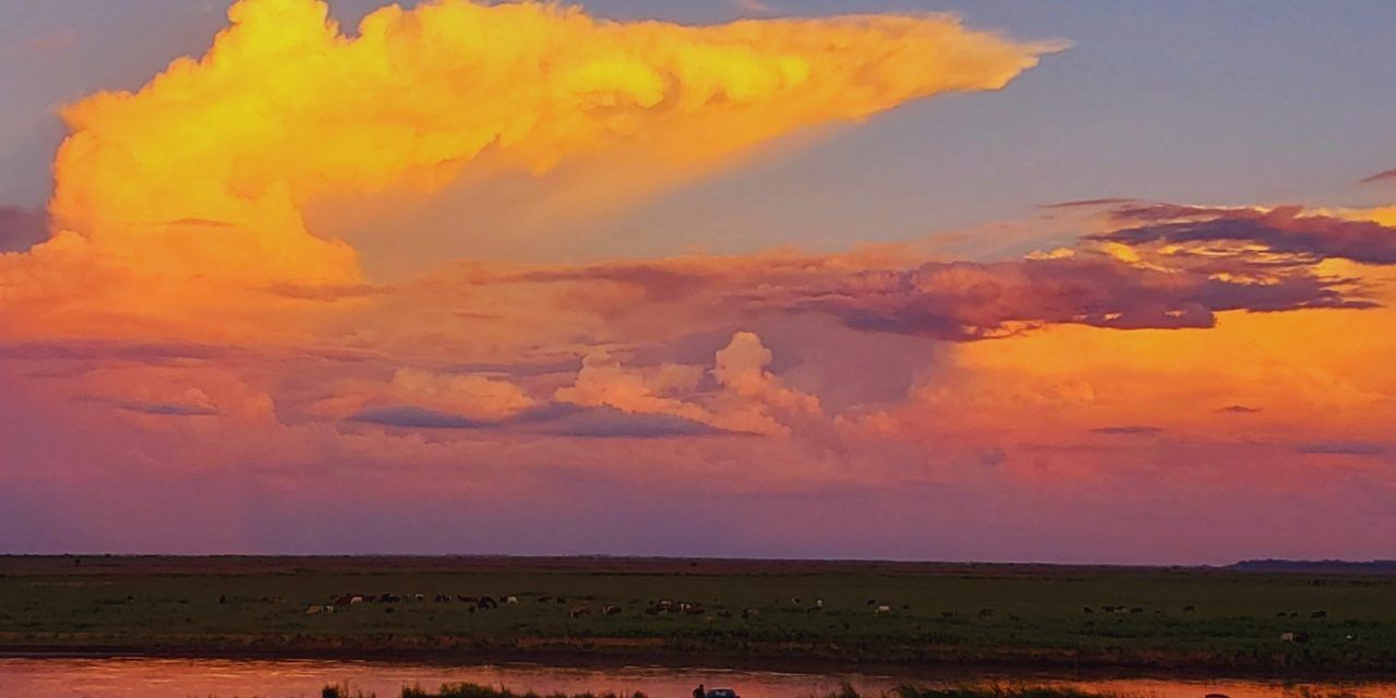 Estiman un trimestre con lluvias para el centro y este del país