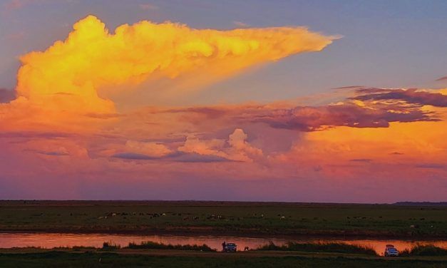 Estiman un trimestre con lluvias para el centro y este del país