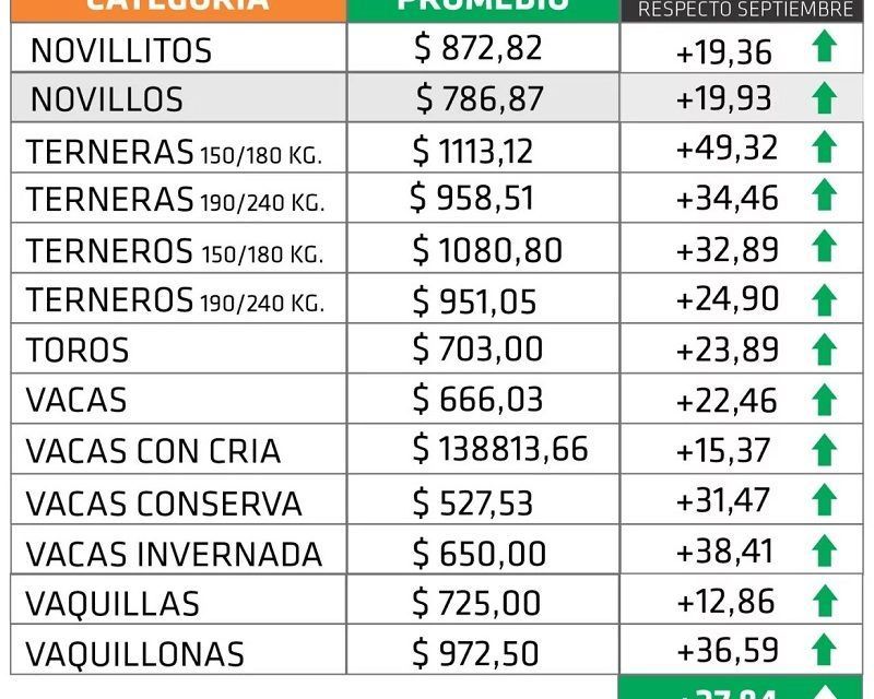 FARER: Menor oferta, incertidumbre política y lluvias