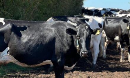 Grave situación del campo entrerriano