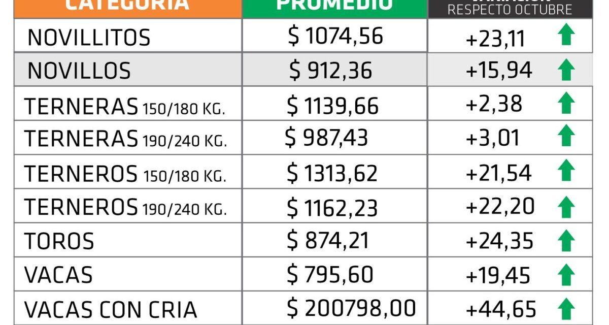 Entre Ríos: la hacienda aumentó 18,64% en noviembre