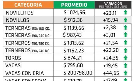 Entre Ríos: la hacienda aumentó 18,64% en noviembre