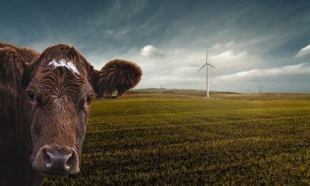 GANADERÍA Y CAMBIO CLIMÁTICO: