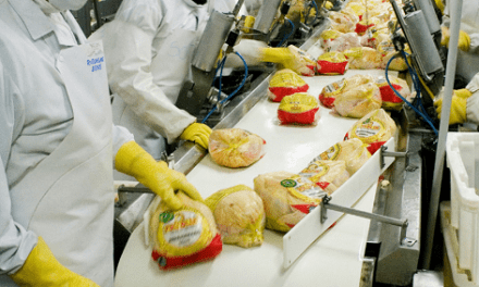 Volando a Japón con carne fresca aviar y otros productos