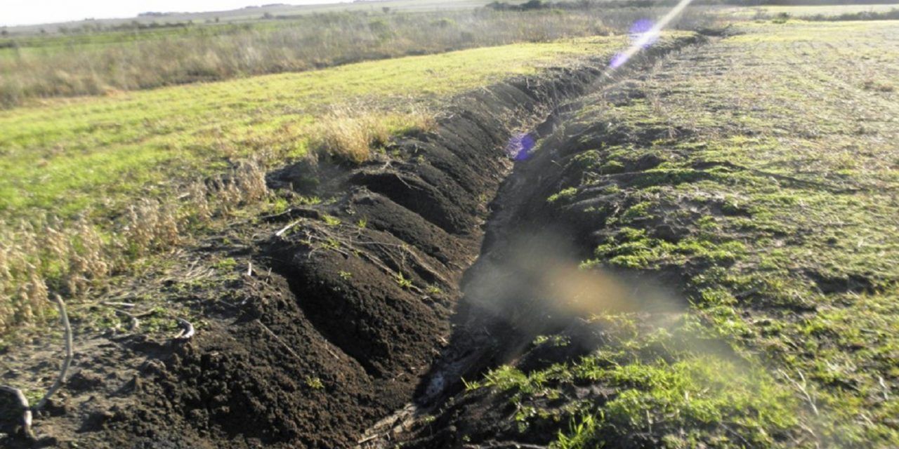 Conservación de suelos y adaptación al cambio climático