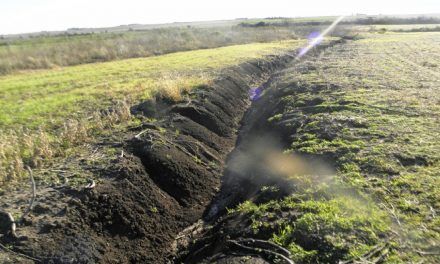 Conservación de suelos y adaptación al cambio climático