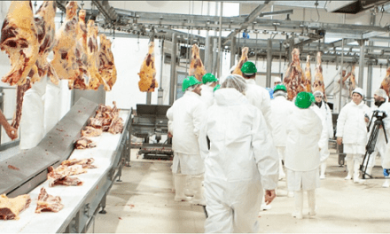 Argentina quiere exportar carne bovina con hueso a Israel
