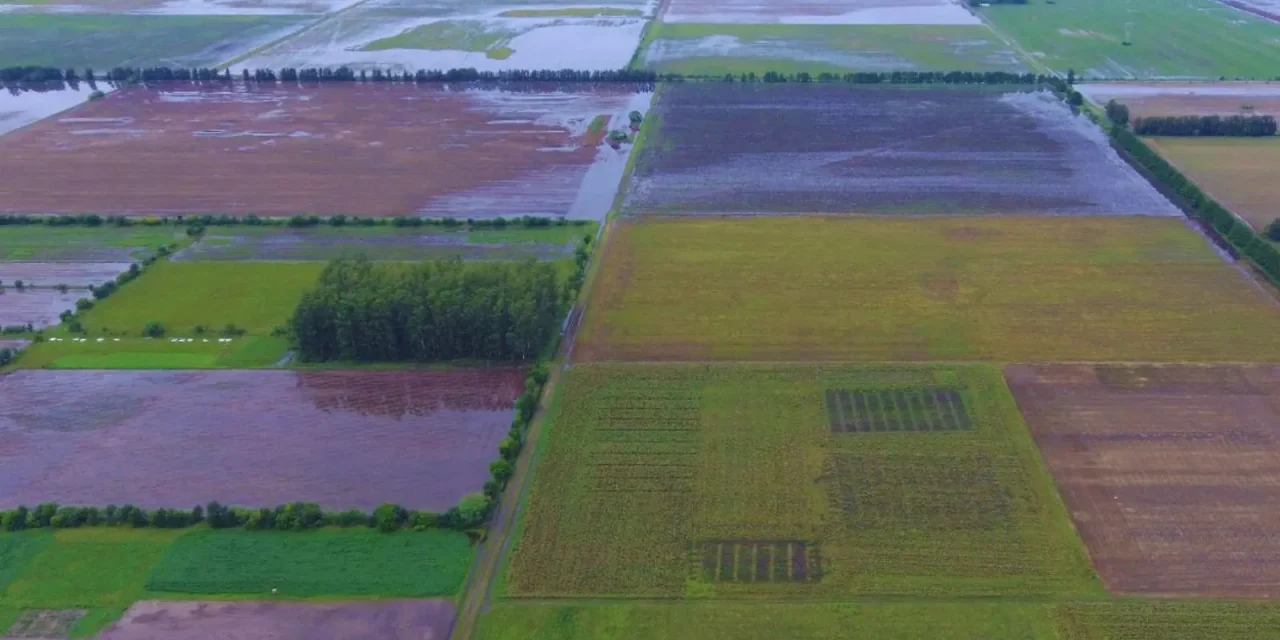 Precipitaciones récord: el desafío de producir