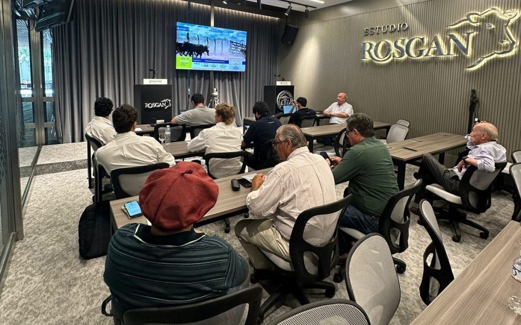 Rosgan y su primer remate televisado de 2024