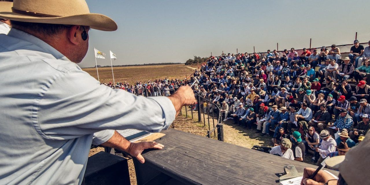 Tres Remates Ganaderos y el carácter federal de ROSGAN