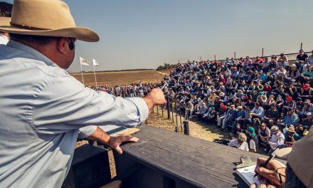 Tres Remates Ganaderos y el carácter federal de ROSGAN