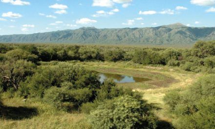 Bosques nativos: Córdoba extiende plazo de pago