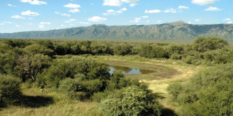 Bosques nativos: Córdoba extiende plazo de pago