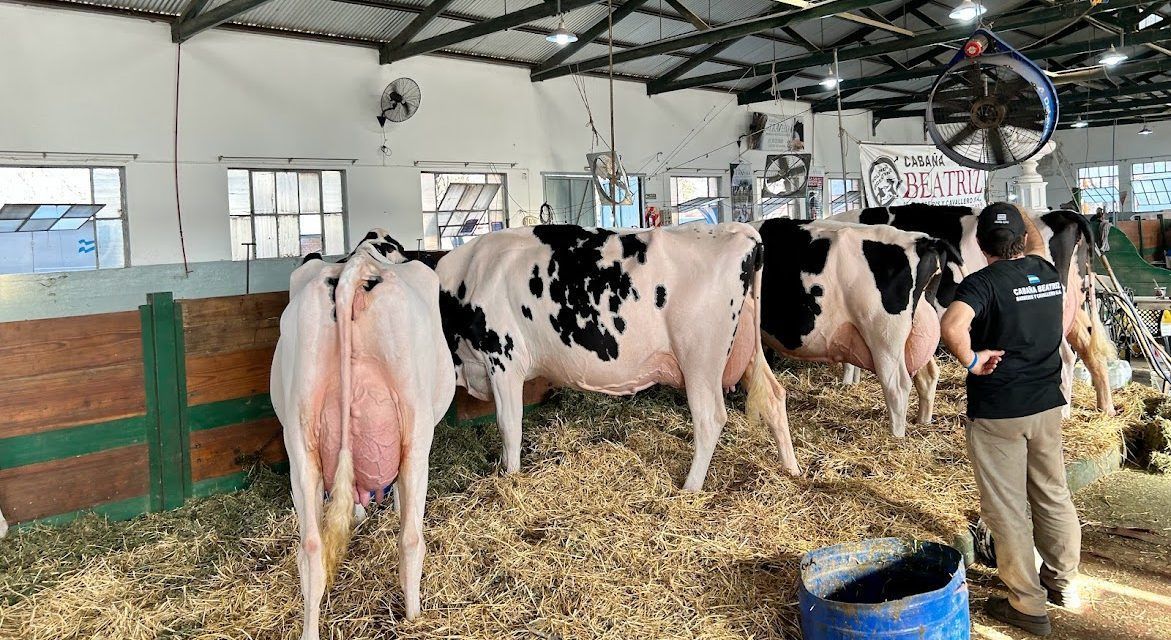 CRECIMIENTO DEL RODEO LECHERO (SEGUNDA PARTE)