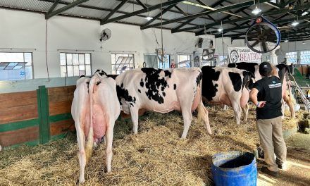 CRECIMIENTO DEL RODEO LECHERO (SEGUNDA PARTE)