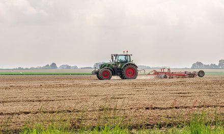 La nueva regulación laboral y el sector agropecuario
