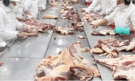 Senasa acuerda acciones con frigoríficos santafesinos