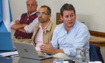 Santa Fe: recomiendan declarar plaga a la «chicharrita»