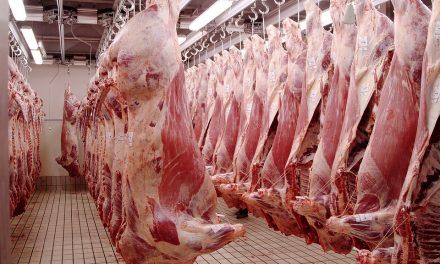 Primera exportación de carne certificada libre de deforestación