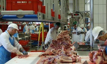 La oferta de hacienda sigue en abril más alta de lo esperado