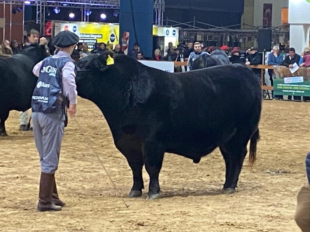 El presidente Milei recorrió la Expo Angus de Otoño