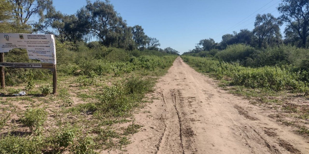 Santiago del Estero y el control de la reforestación rural