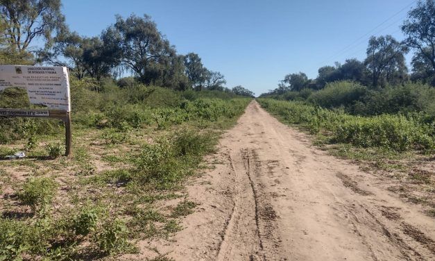 Santiago del Estero y el control de la reforestación rural