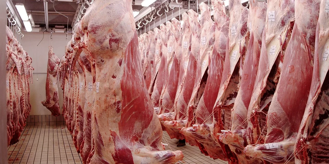 Precios internacionales: Valores que resisten la presión