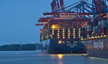 Exportaciones cárnicas: Buen volumen y mercados de valor
