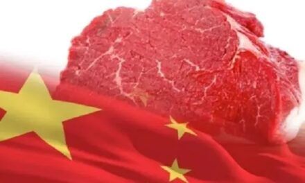 Pronostican aumento de compras chinas de carne para 2025