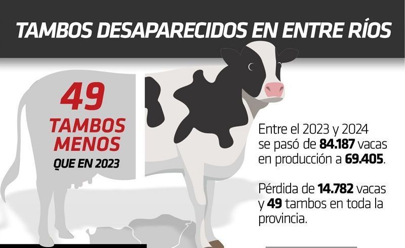 Se profundiza la desaparición de tambos en Entre Ríos