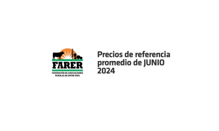Luego de meses, en junio de 2024 los precios crecieron casi 5%