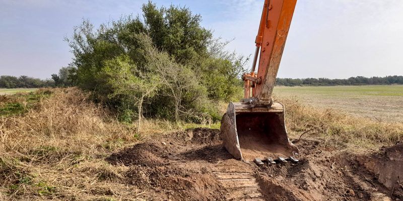 Córdoba interrumpe intervenciones forestales no autorizadas