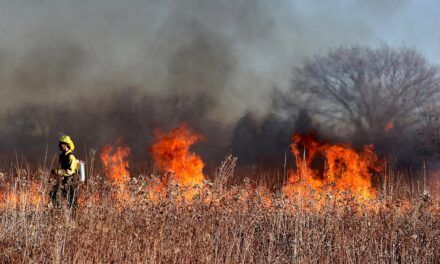 Reclaman la modificación de la Ley de Manejo del Fuego