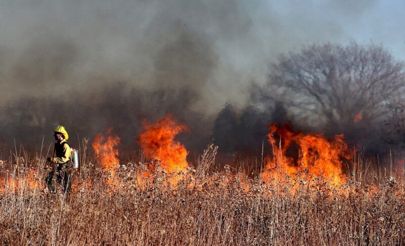 Reclaman la modificación de la Ley de Manejo del Fuego
