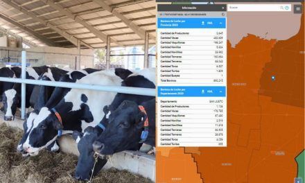La producción ganadera de Córdoba, actualizada en 8 mapas