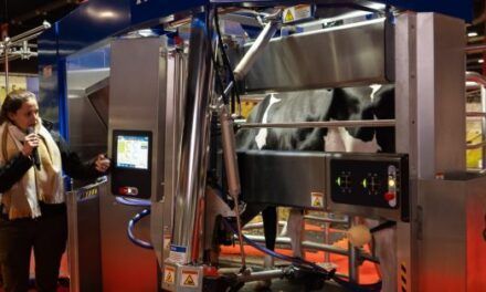 La última tecnología de ordeño voluntario de vacas