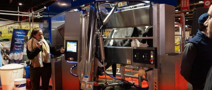 La última tecnología de ordeño voluntario de vacas
