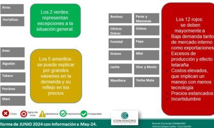 Semáforo de las Economías Regionales – Mayo de 2024