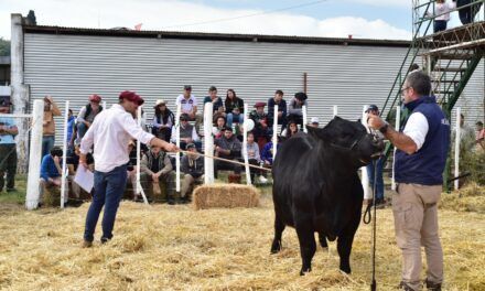 Agrotendencias en la Expo Rural de San Justo