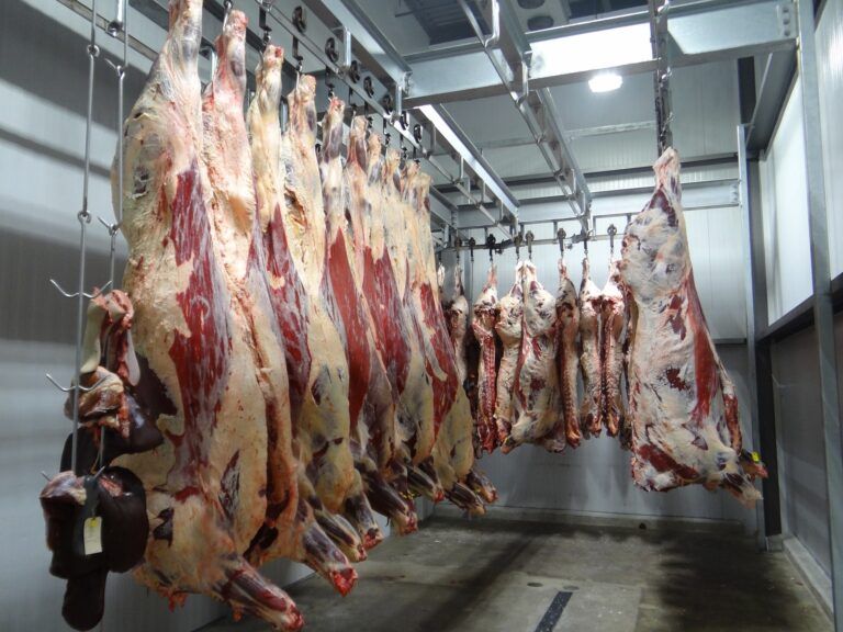 Faena de vacas: los anuncios no contribuyen a frenarla