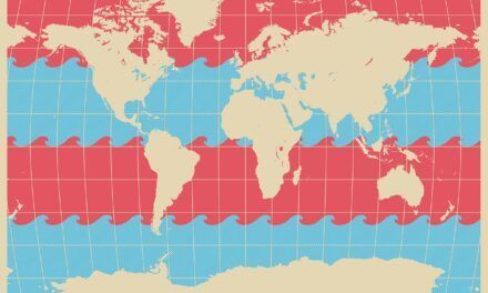 Las carnes por el mundo al 28 de agosto