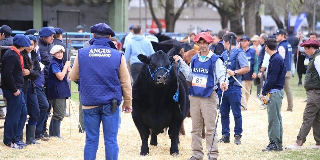 Se viene la Semana Angus de Primavera 2024