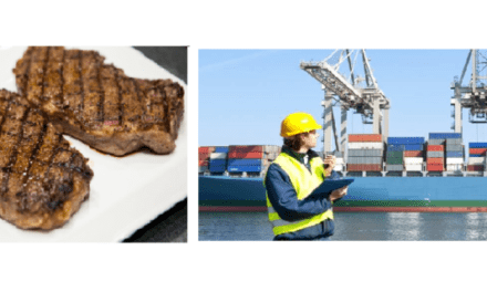 Desempeño exportador