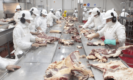 Salta adhiere al estatus sanitario único para frigoríficos argentinos