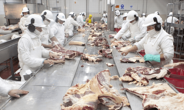 Salta adhiere al estatus sanitario único para frigoríficos argentinos