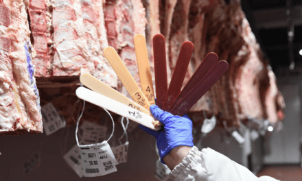 El Gobierno impulsa al 100% la tipificación bovina