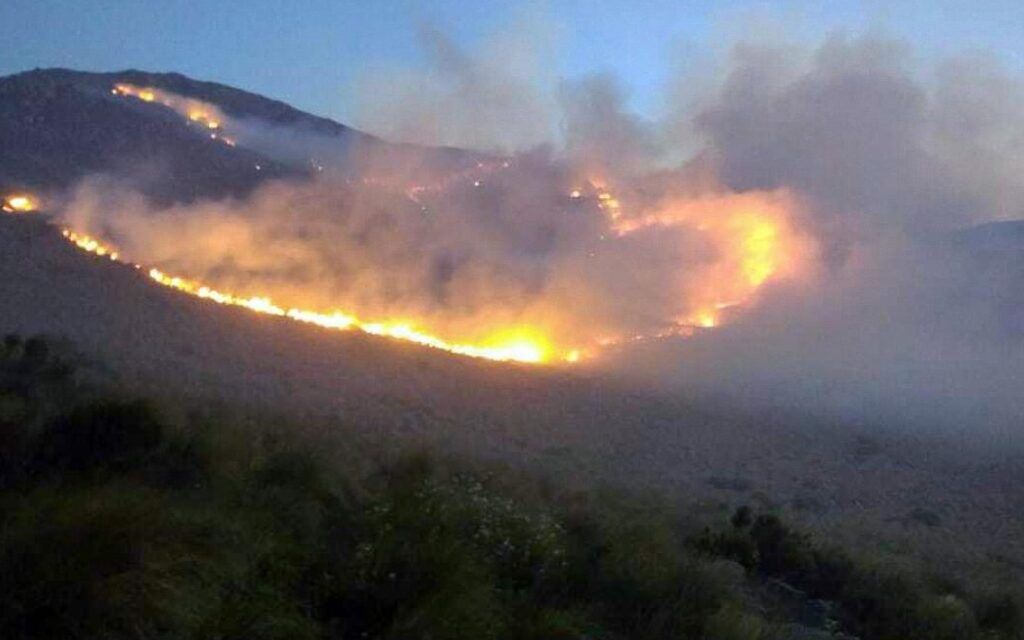 Incendios en Córdoba: Se solicitó el desastre agropecuario