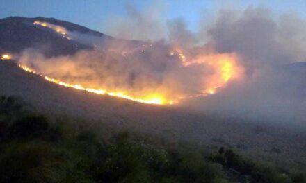 Incendios en Córdoba: Se solicitó el desastre agropecuario