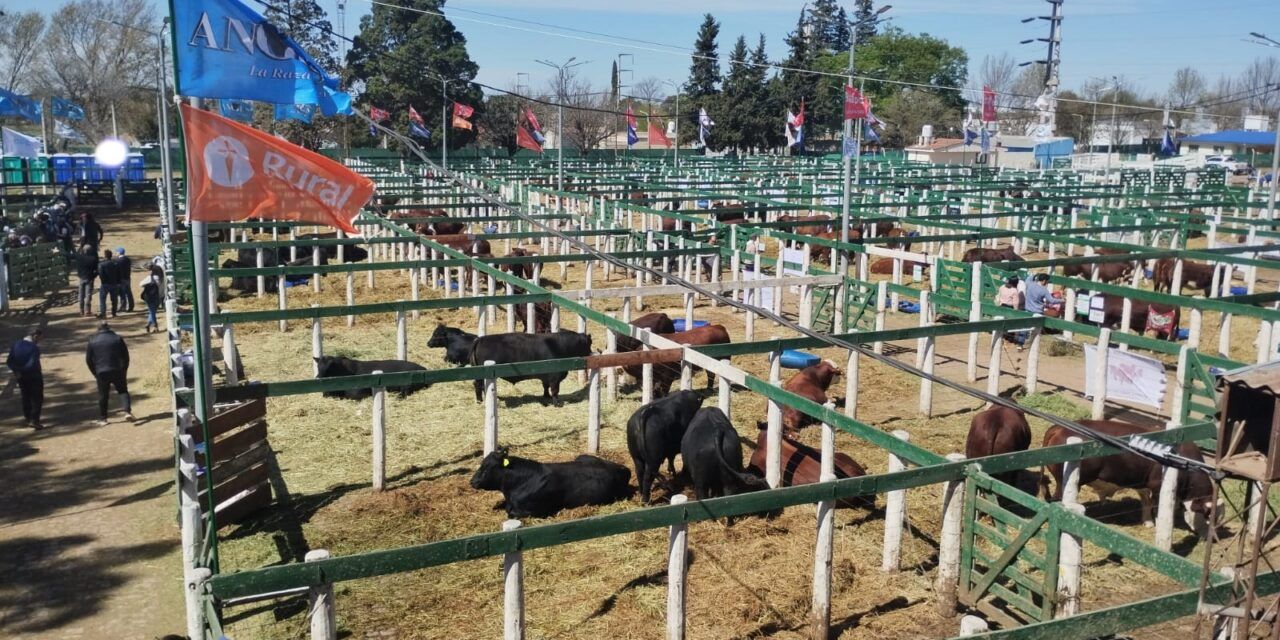Ya se vive la Expo Rural de Jesús María